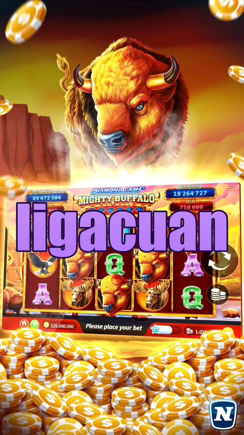 ligacuan Preview - Resmi Unduh